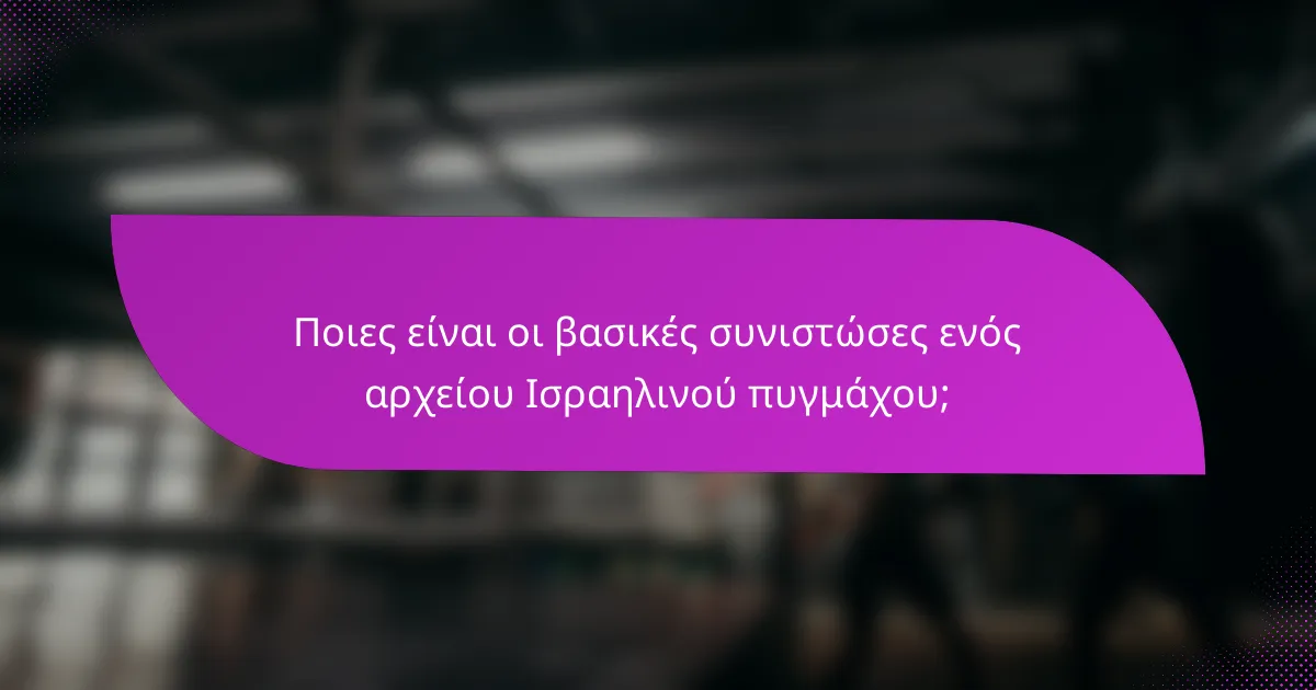 Ποιες είναι οι βασικές συνιστώσες ενός αρχείου Ισραηλινού πυγμάχου;