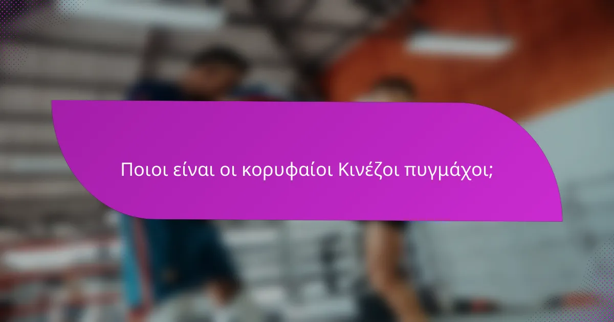 Ποιοι είναι οι κορυφαίοι Κινέζοι πυγμάχοι;